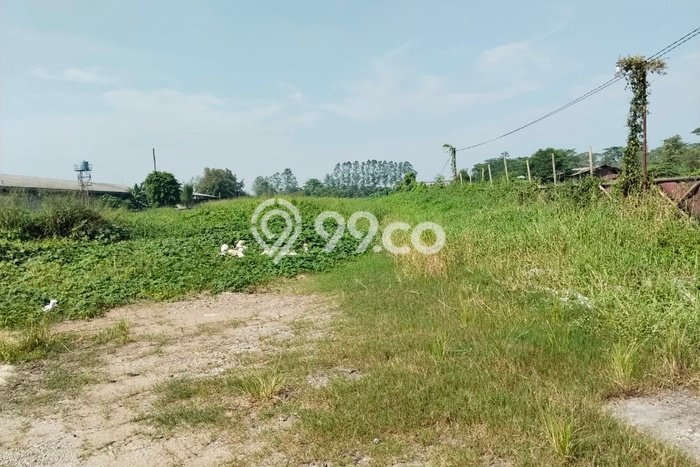 Tanah di Jawilan, Serang Luas 50000m2 Dijual Segera Tanah di Jawilan, Serang Luas 50000m2 Dijual Segera