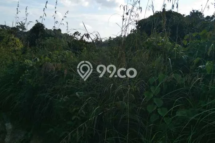 Dijual Tanah di Penajam Penajam Paser Utara Luas 180000m2 SHM Dijual Tanah di Penajam Penajam Paser Utara Luas 180000m2 SHM