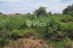 Tanah Kosong Dijual di Gresik dengan Area 6800m2 Tanah Kosong Dijual di Gresik dengan Area 6800m2