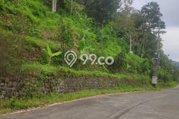 Tanah Komersial Dijual di Trawas Mojokerto 8000m2 Tanah Komersial Dijual di Trawas Mojokerto 8000m2