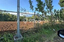 Tanah Dijual Lokasi Batu, Batu dengan Luas Tanah 5000m2 dan Status SHM Tanah Dijual Lokasi Batu, Batu dengan Luas Tanah 5000m2 dan Status SHM