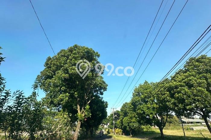 Tanah Dijual Lokasi Batu, Batu dengan Luas Tanah 5000m2 dan Status SHM Tanah Dijual Lokasi Batu, Batu dengan Luas Tanah 5000m2 dan Status SHM