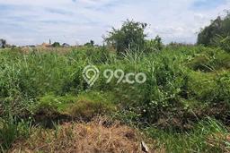 Kavling Tanah Dijual di Manyar, Gresik, Luas 6800m2 Area Strategis Kavling Tanah Dijual di Manyar, Gresik, Luas 6800m2 Area Strategis