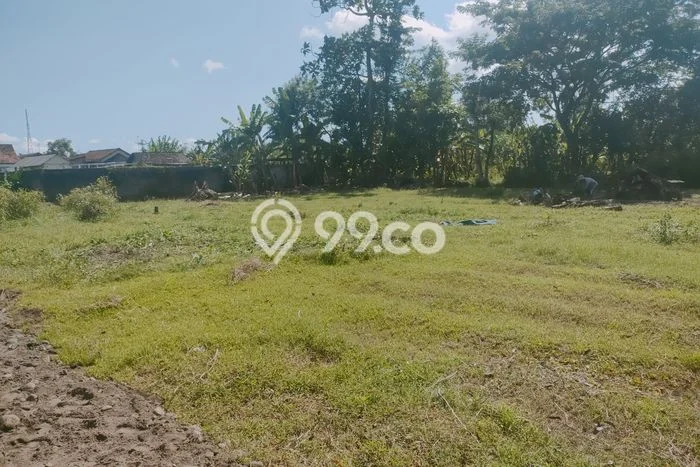 Dijual Tanah di Kedungwaru Tulungagung Luas 930m2 SHM Dijual Tanah di Kedungwaru Tulungagung Luas 930m2 SHM
