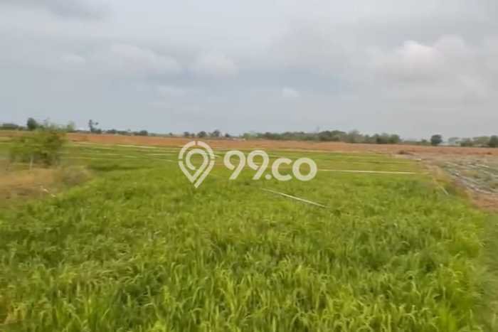 Tanah Kosong Dijual di Rembang dengan Area 106598m2 Tanah Kosong Dijual di Rembang dengan Area 106598m2