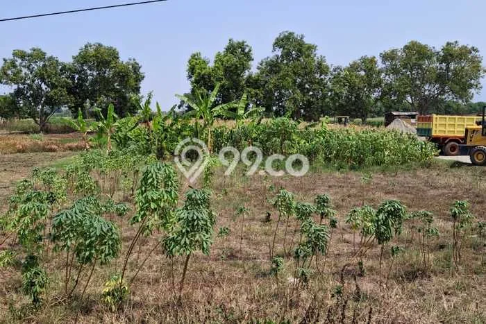 Kavling Tanah Dijual di Bangsal, Mojokerto, Luas 5546m2 Area Strategis Kavling Tanah Dijual di Bangsal, Mojokerto, Luas 5546m2 Area Strategis