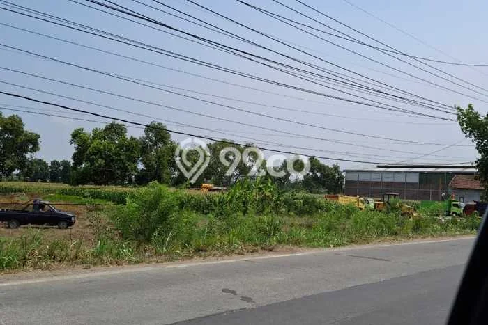 Kavling Tanah Dijual di Bangsal, Mojokerto, Luas 5546m2 Area Strategis Kavling Tanah Dijual di Bangsal, Mojokerto, Luas 5546m2 Area Strategis