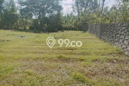 Dijual Tanah di Kedungwaru Tulungagung Luas 930m2 SHM Dijual Tanah di Kedungwaru Tulungagung Luas 930m2 SHM
