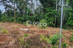 Lahan Investasi Lokasi Mijen Semarang SHM Lahan Investasi Lokasi Mijen Semarang SHM