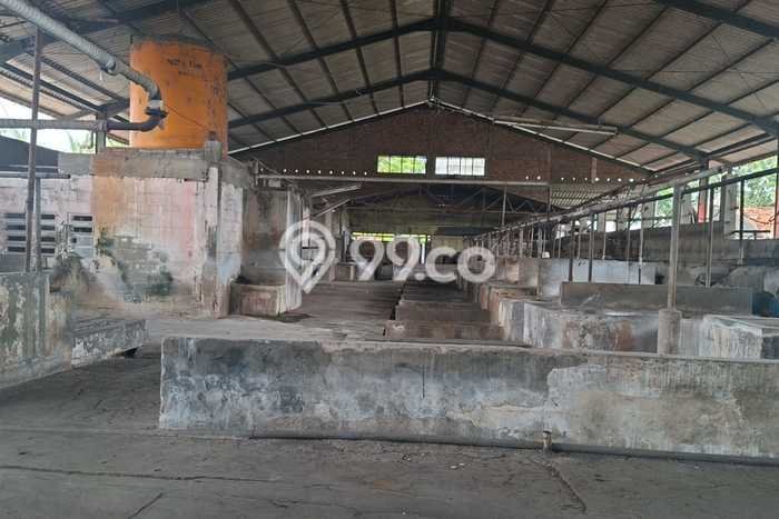 Pabrik disewakan lokasi strategis Bangkalan Bangkalan 1000m2 Pabrik disewakan lokasi strategis Bangkalan Bangkalan 1000m2