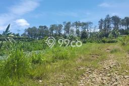 Untuk Dijual Tanah di Bandung, Luas 5400m2 - Untuk Dijual Tanah di Bandung, Luas 5400m2 -