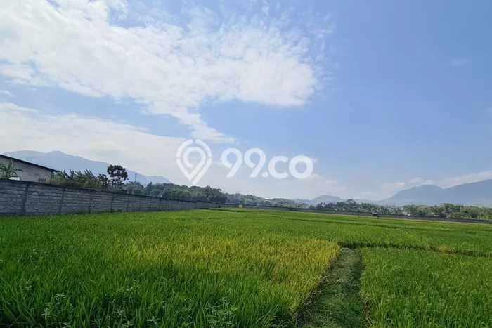 Disewakan Tanah di Rancaekek Luas 35000m2 SHM Disewakan Tanah di Rancaekek Luas 35000m2 SHM