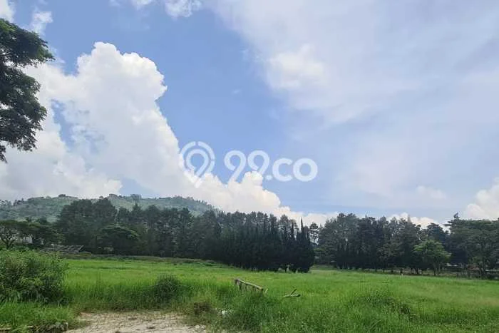 Tanah Disewa Strategis di Bandung Luas 56000m2 Tanah Disewa Strategis di Bandung Luas 56000m2