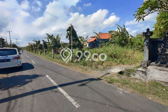 Kavling Tanah Dijual di Tabanan Tabanan Spesifikasi 4415m2 Kavling Tanah Dijual di Tabanan Tabanan Spesifikasi 4415m2