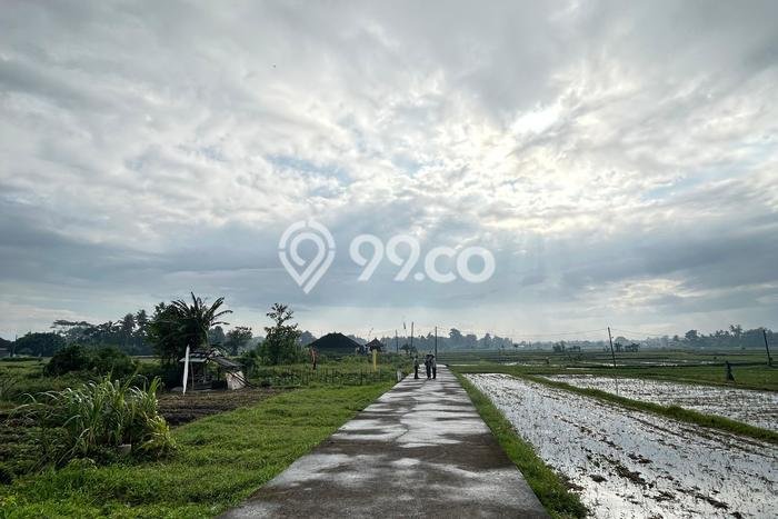 Tanah Kavling Dijual di Pandakbandung, Tabanan dengan Luas Tanah 160m2 Tanah Kavling Dijual di Pandakbandung, Tabanan dengan Luas Tanah 160m2