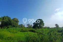 Tanah Investasi Dijual di Gianyar Punya Luas 9800m2 Tanah Investasi Dijual di Gianyar Punya Luas 9800m2