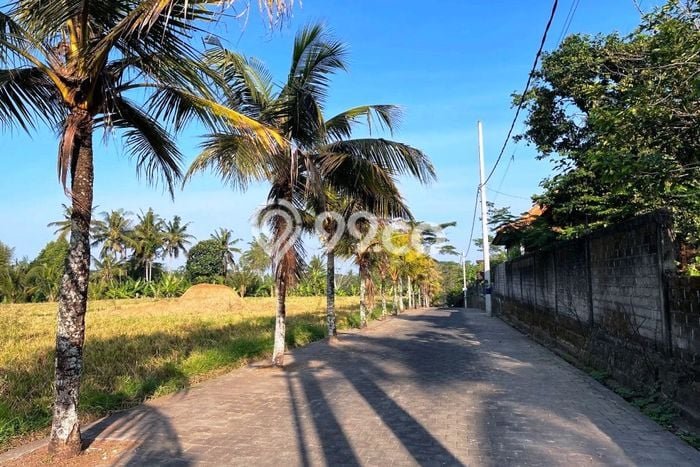Tanah Kavling Dijual di Tabanan dengan Spesifikasi 200m2 Tanah Kavling Dijual di Tabanan dengan Spesifikasi 200m2