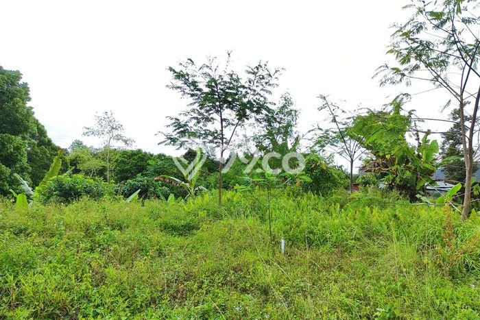 HARGA MENARIK! Tanah Kawasan Baturiti, Luas 570m², Lokasi Berkembang HARGA MENARIK! Tanah Kawasan Baturiti, Luas 570m², Lokasi Berkembang