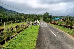 Jual Tanah Area Berkembang di Petang, Luas 3300m², Dekat Petang, Badung, Badung Jual Tanah Area Berkembang di Petang, Luas 3300m², Dekat Petang, Badung, Badung