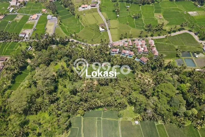 Tanah di Kenderan, Luas 11300m², Akses Mudah Tanah di Kenderan, Luas 11300m², Akses Mudah