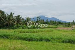 Tanah Dijual di Gianyar Seluas 1575m2 Strategis Tanah Dijual di Gianyar Seluas 1575m2 Strategis