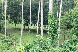 Lahan Kosong Dijual di Selemadeg, Tabanan, Luas 9575m2 Area Strategis Lahan Kosong Dijual di Selemadeg, Tabanan, Luas 9575m2 Area Strategis