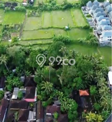 Tanah Premium di Ubud, Luas 900m², Disewakan Tanah Premium di Ubud, Luas 900m², Disewakan