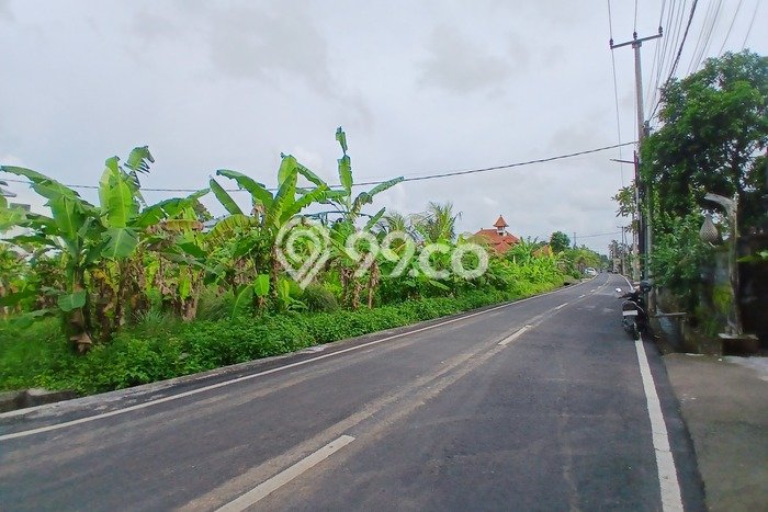 Tanah Kawasan Ubud, Luas 500m², Lokasi Strategis Tanah Kawasan Ubud, Luas 500m², Lokasi Strategis