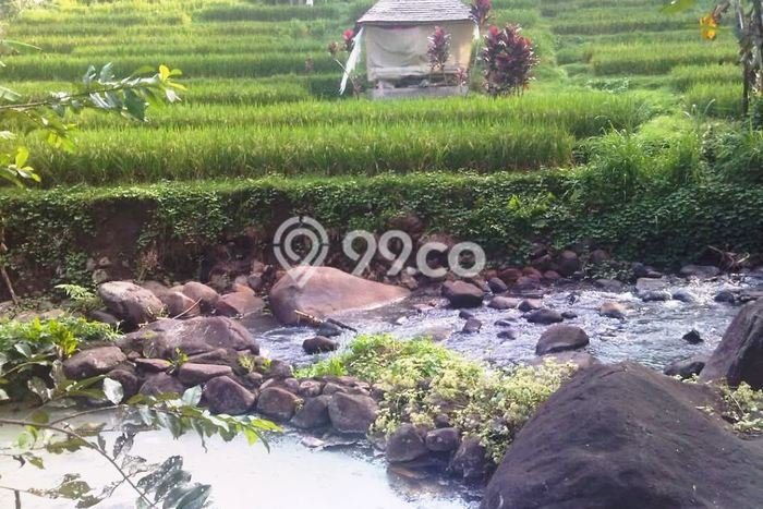 Dijual Tanah di Tabanan, Luas 21000m2 SHM Dijual Tanah di Tabanan, Luas 21000m2 SHM