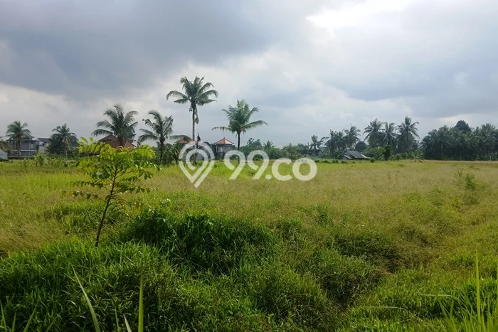 Untuk Dijual Tanah 1620m2 di Buruan, Gianyar Untuk Dijual Tanah 1620m2 di Buruan, Gianyar