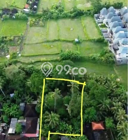 Tanah Premium di Ubud, Luas 900m², Disewakan Tanah Premium di Ubud, Luas 900m², Disewakan