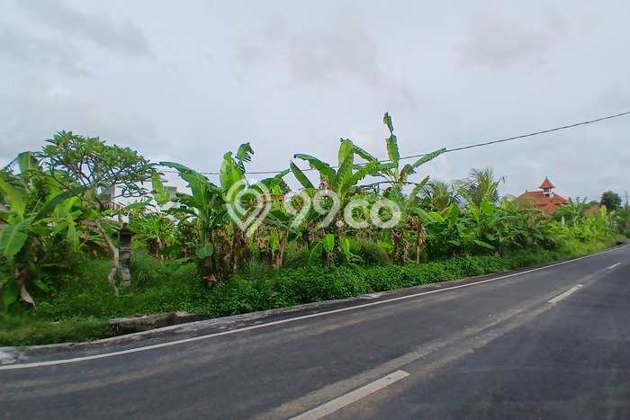 Tanah Kawasan Ubud, Luas 500m², Lokasi Strategis Tanah Kawasan Ubud, Luas 500m², Lokasi Strategis