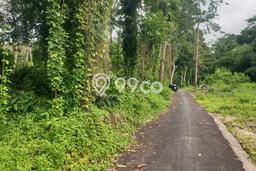 For Rent Tanah di Tegallalang, Luas 1000m², Jalan Mudah, Area Strategis For Rent Tanah di Tegallalang, Luas 1000m², Jalan Mudah, Area Strategis