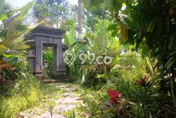 Tanah Dijual Area Strategis di Bedulu Gianyar 2708m2 Tanah Dijual Area Strategis di Bedulu Gianyar 2708m2