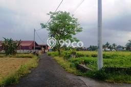 Untuk Dijual Tanah 1620m2 di Buruan, Gianyar Untuk Dijual Tanah 1620m2 di Buruan, Gianyar
