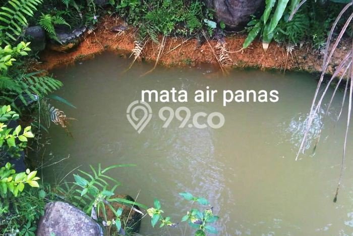 Dijual Tanah di Tabanan, Luas 21000m2 SHM Dijual Tanah di Tabanan, Luas 21000m2 SHM