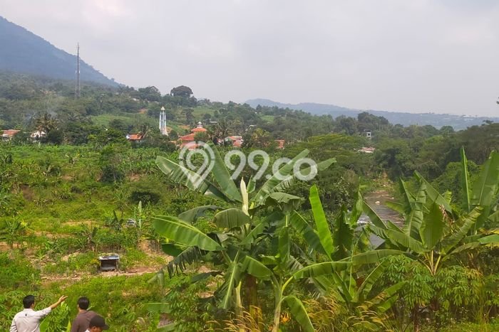 Kavling Tanah untuk Dijual di Sentul City, Bogor, Luas 98000m2 Kavling Tanah untuk Dijual di Sentul City, Bogor, Luas 98000m2