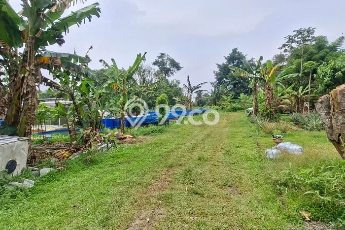 Tanah di Tajur Halang, Bogor Luas 790m2 Dijual Segera Tanah di Tajur Halang, Bogor Luas 790m2 Dijual Segera