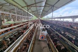 Unit Komersial Strategis di Polokarto, Sukoharjo Potensi Bisnis Besar Unit Komersial Strategis di Polokarto, Sukoharjo Potensi Bisnis Besar