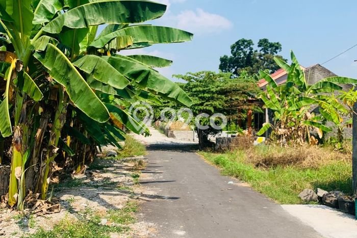 Tanah Strategis Dijual di Baki Sukoharjo 65m2 Tanah Strategis Dijual di Baki Sukoharjo 65m2