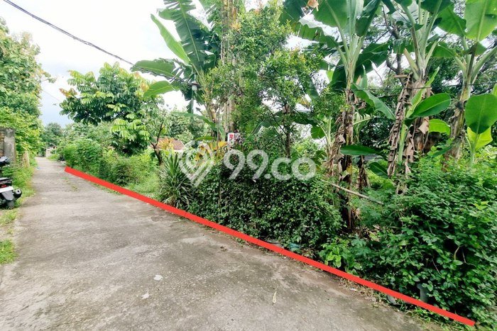 Tanah Dijual Lokasi Colomadu, Karanganyar Luas 525m2 Legalitas Aman Tanah Dijual Lokasi Colomadu, Karanganyar Luas 525m2 Legalitas Aman