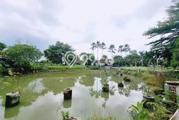 Tanah untuk Dijual di Banyudono Boyolali Luas 13400m2 Tanah untuk Dijual di Banyudono Boyolali Luas 13400m2