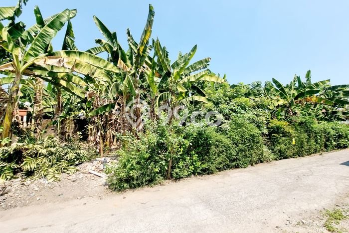 Lahan Dijual Lokasi Colomadu, Karanganyar dengan Luas Tanah 323m2 dan Status SHM Lahan Dijual Lokasi Colomadu, Karanganyar dengan Luas Tanah 323m2 dan Status SHM