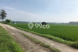 Kavling Tanah Dijual di Ngemplak, Boyolali, Luas 3194m2 Area Strategis Kavling Tanah Dijual di Ngemplak, Boyolali, Luas 3194m2 Area Strategis