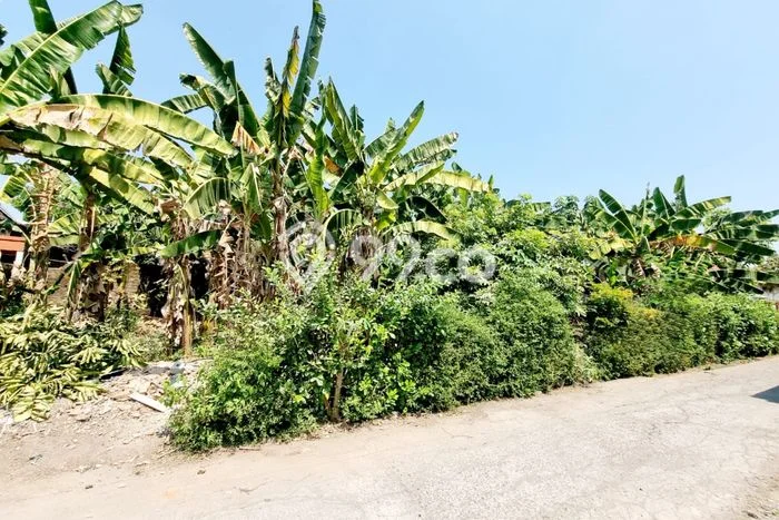 Lahan Dijual Lokasi Colomadu, Karanganyar dengan Luas Tanah 323m2 dan Status SHM Lahan Dijual Lokasi Colomadu, Karanganyar dengan Luas Tanah 323m2 dan Status SHM