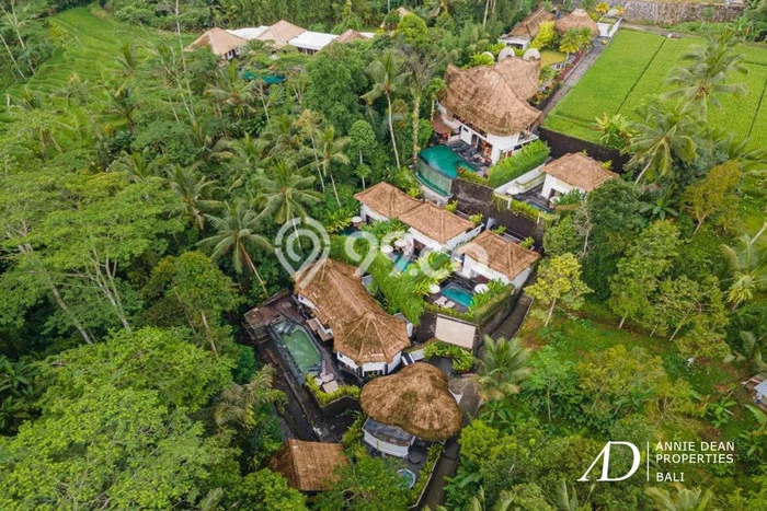 Hotel di Ubud, Luas 1950m2m², Area Bisnis, Jalan Utama Hotel di Ubud, Luas 1950m2m², Area Bisnis, Jalan Utama