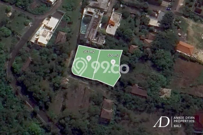 Tanah Kavling Dijual di Badung dengan Spesifikasi 1193m2 Tanah Kavling Dijual di Badung dengan Spesifikasi 1193m2