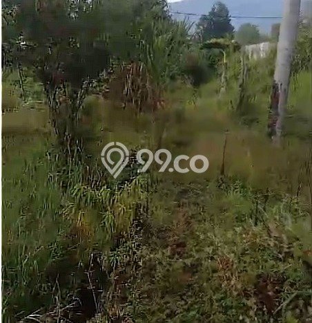Tanah Dijual Area Strategis di Cianjur Kota Cianjur 2500m2 Tanah Dijual Area Strategis di Cianjur Kota Cianjur 2500m2
