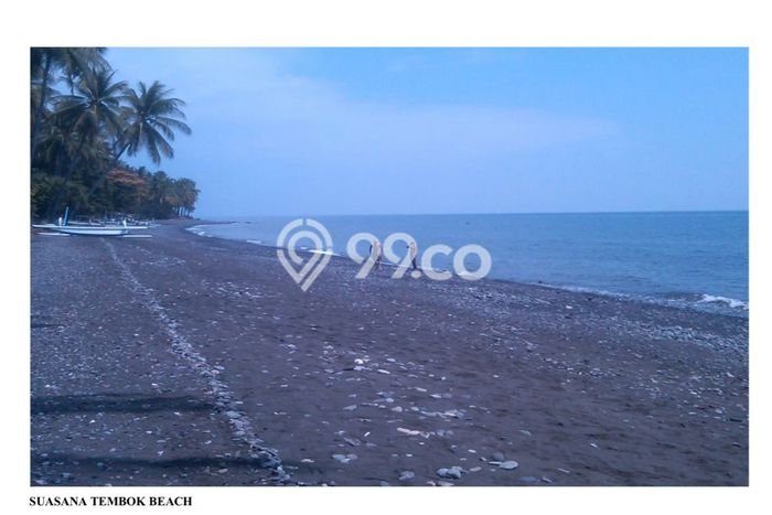 Tanah untuk Disewakan di Tejakula Buleleng SHM Tanah untuk Disewakan di Tejakula Buleleng SHM