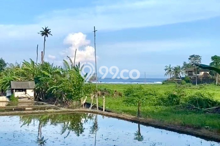 Tanah Kavling Dijual di Gianyar dengan Spesifikasi 2375m2 Tanah Kavling Dijual di Gianyar dengan Spesifikasi 2375m2